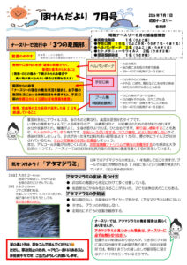 2026.７月のほけんだよりのサムネイル